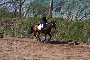 Bild 532 - WBO-Turnier am 9.4.11
